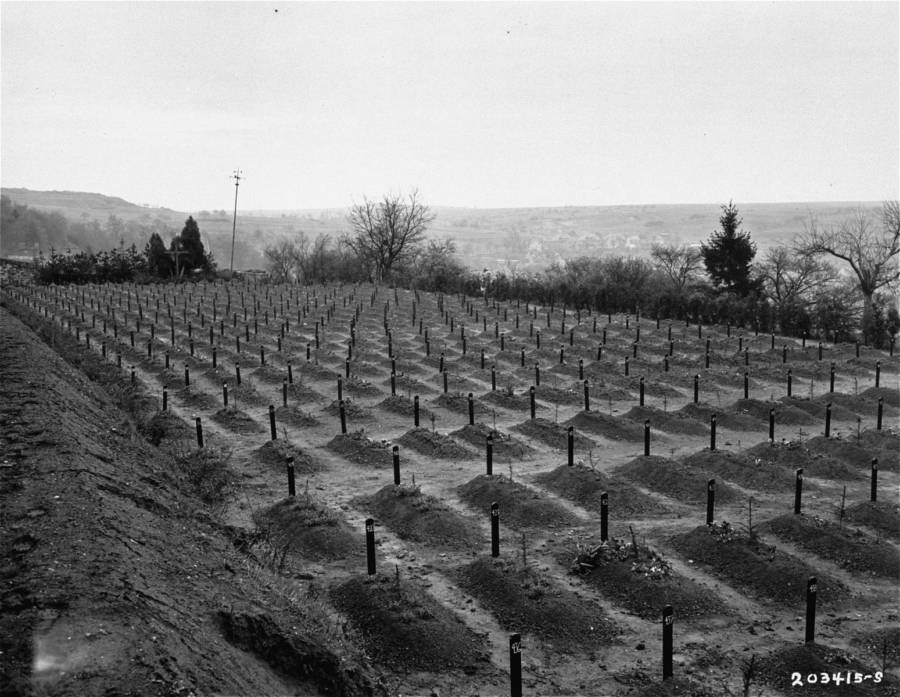 Mass graves of victims of the Aktion T4 program killed at the Hadamar Institute, Apr 15 1945
